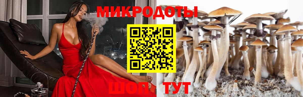 Ростов-на-Дону  Галлюциногенные грибы GOLDEN TEACHER  Псилоцибиновые грибы прущие грибы  Вход с VPN 